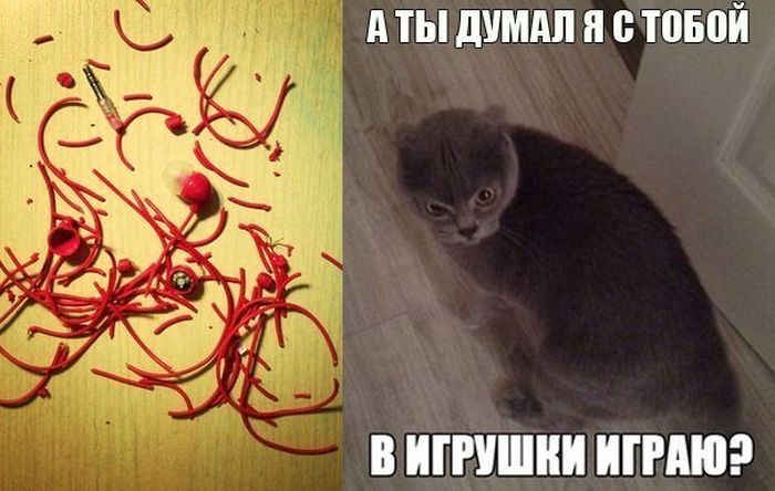 А ты думал...