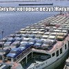 Жигули Жигули