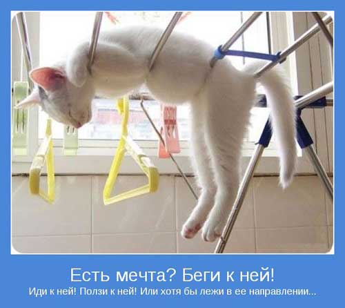 Мечта