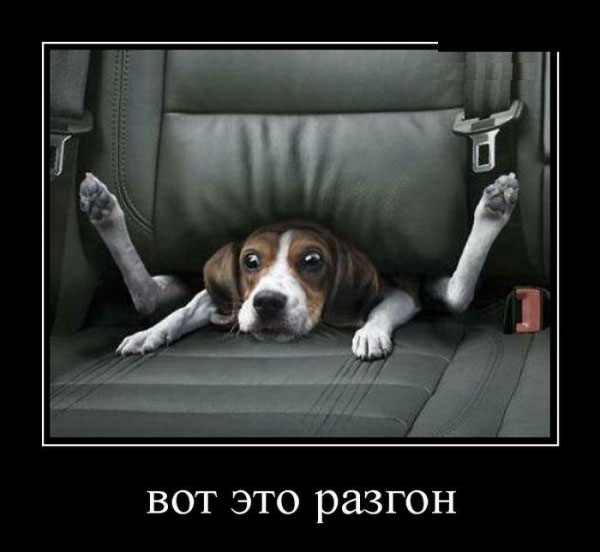Разгон