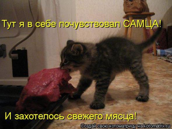 83f1b62266974c470cd8f9e1b0c prev