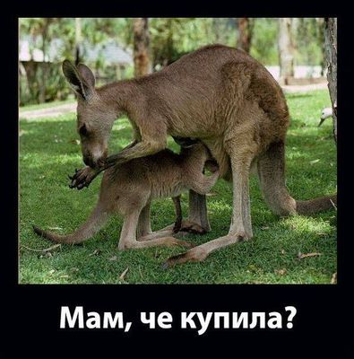 Мам,че купила