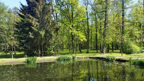 Моё, Санкт-Петербург, город, хорошо