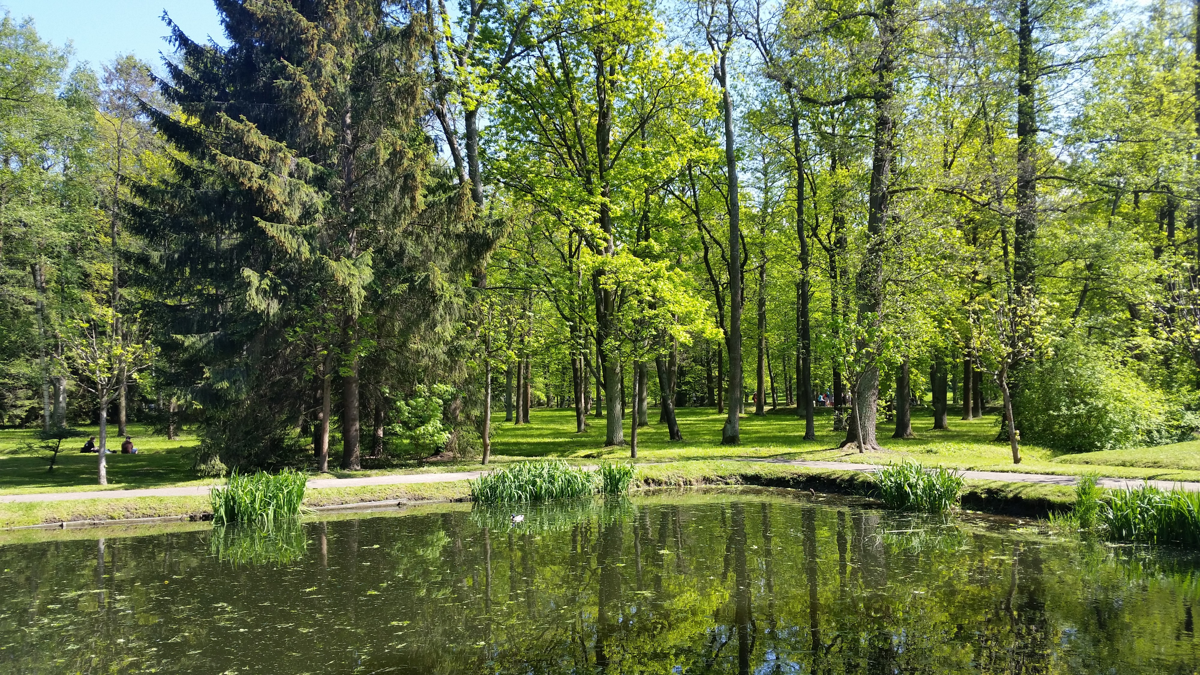 Моё, Санкт-Петербург, город, хорошо