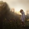 Аромат плывёт со всех сторон: Наконец-то лето наступило! 