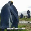 За кулисами За кулисами