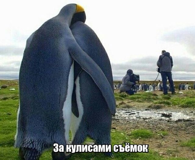 За кулисами