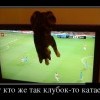 Зритель