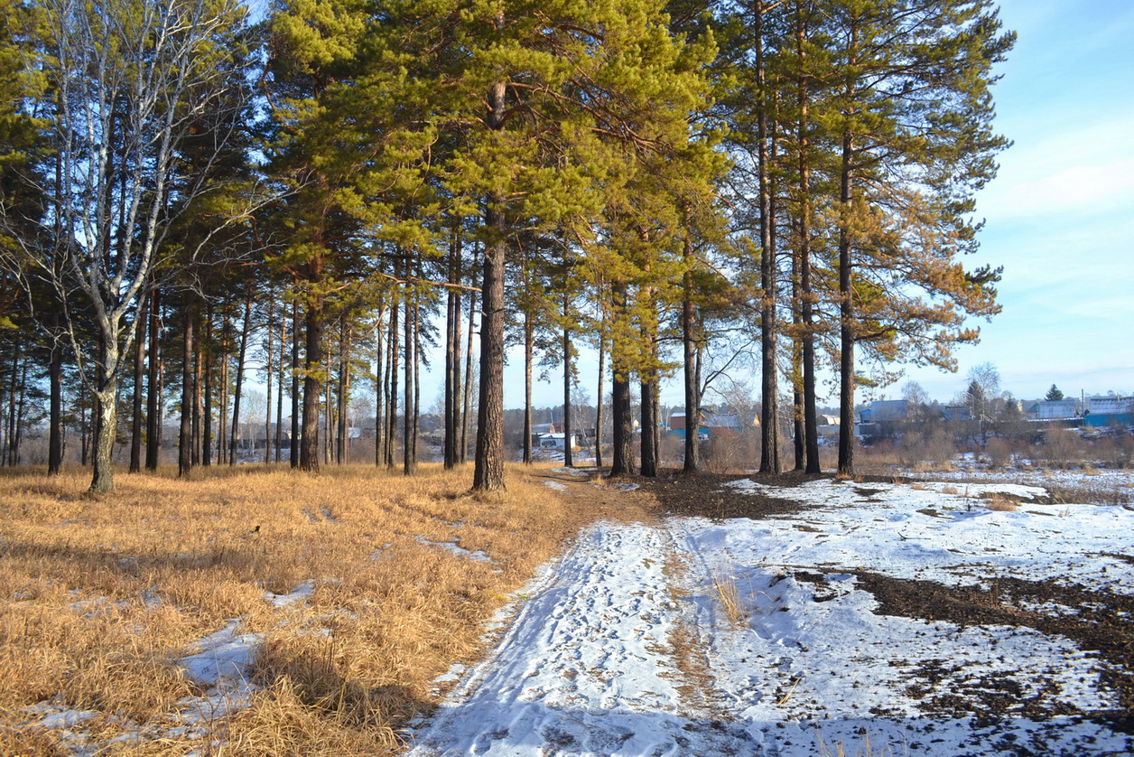 1 декабря)))))