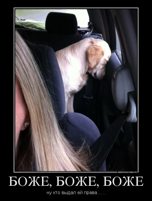 66920164 bozhe-bozhe-bozhe