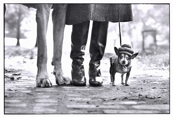 Чудная шапочка