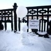 Снеговики за весну