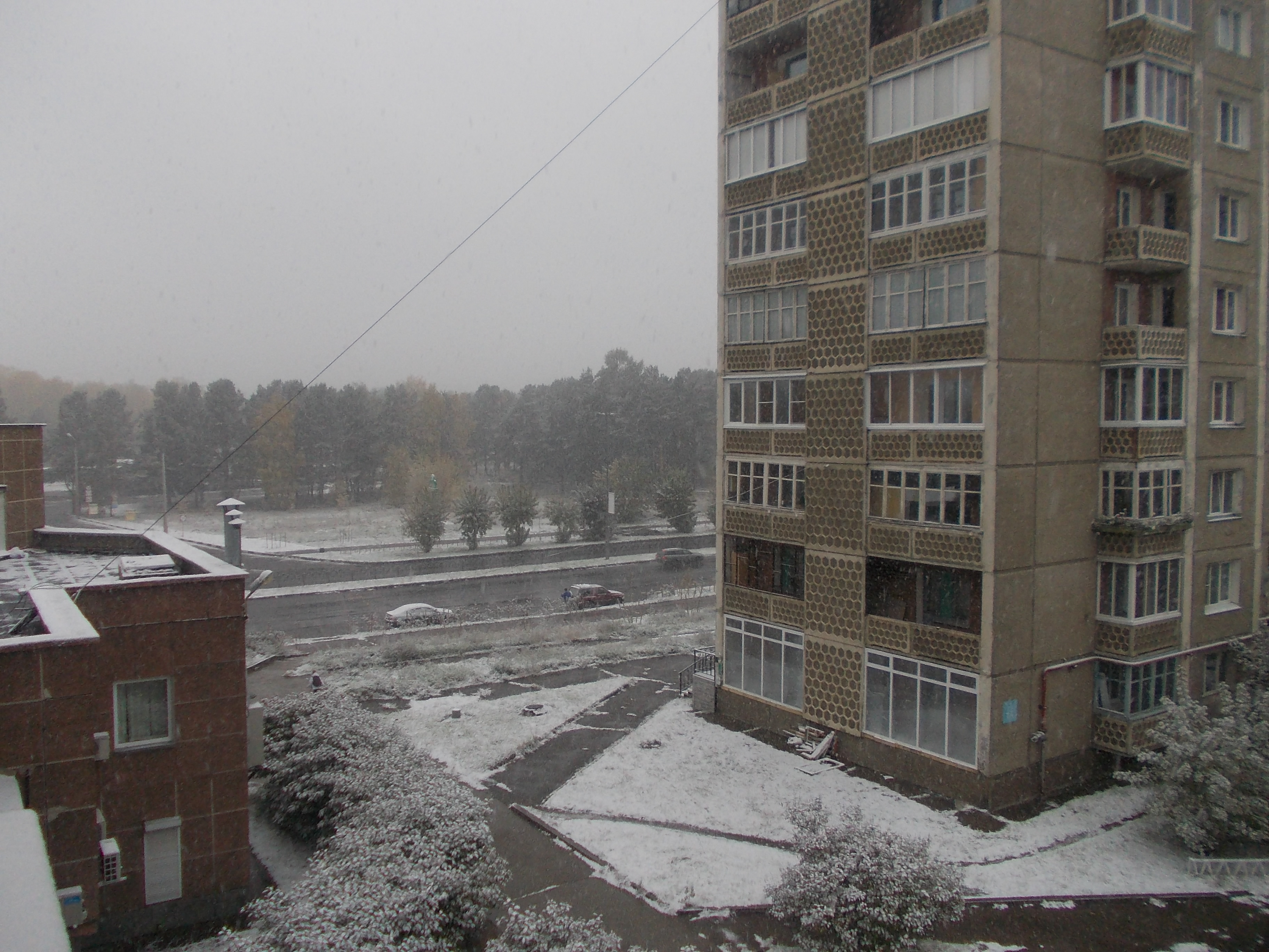 Первый снег