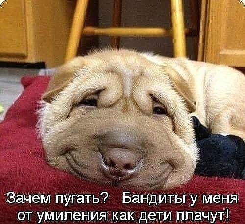 Умиление