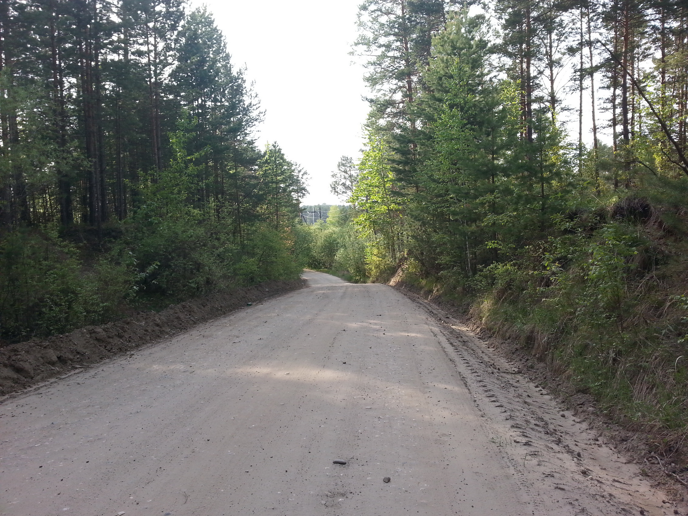 Дорога на Сосновый Бор))))