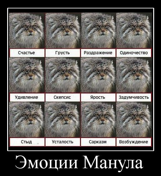 демотиватор