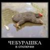 демотиватор