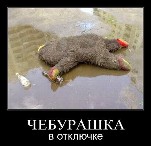 демотиватор