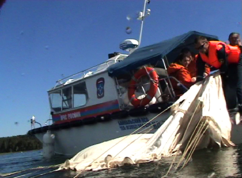 подбор с воды