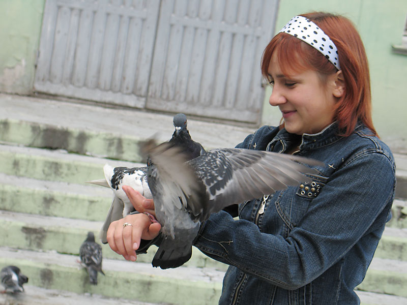Девочка и голуби 3