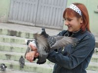 Девочка и голуби 3