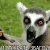 дай бажрадь збагойна))))))