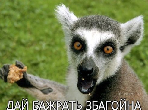 дай бажрадь збагойна))))))