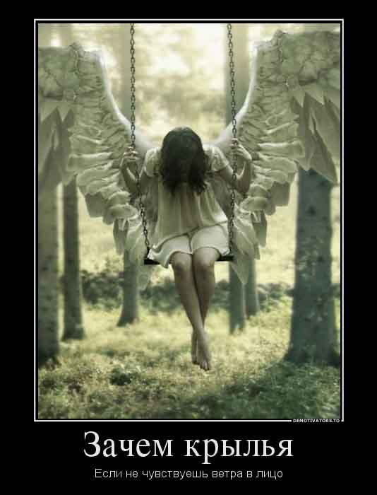 Зачем крылья...