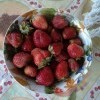 Ягодка поспела! Ягодка поспела!