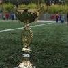 Кубок портала Живой Ермак Кубок портала Живой Ермак