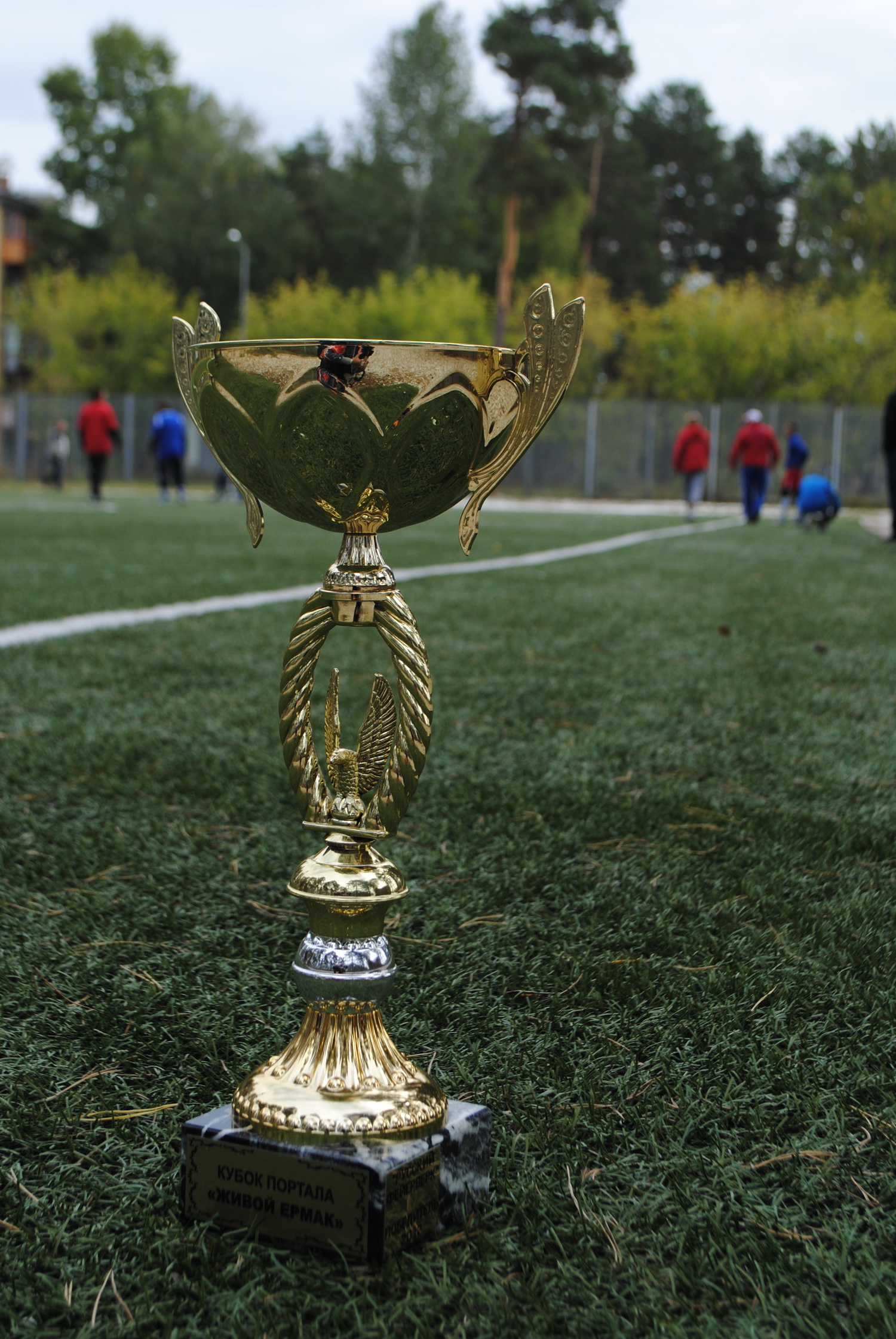 Кубок портала Живой Ермак