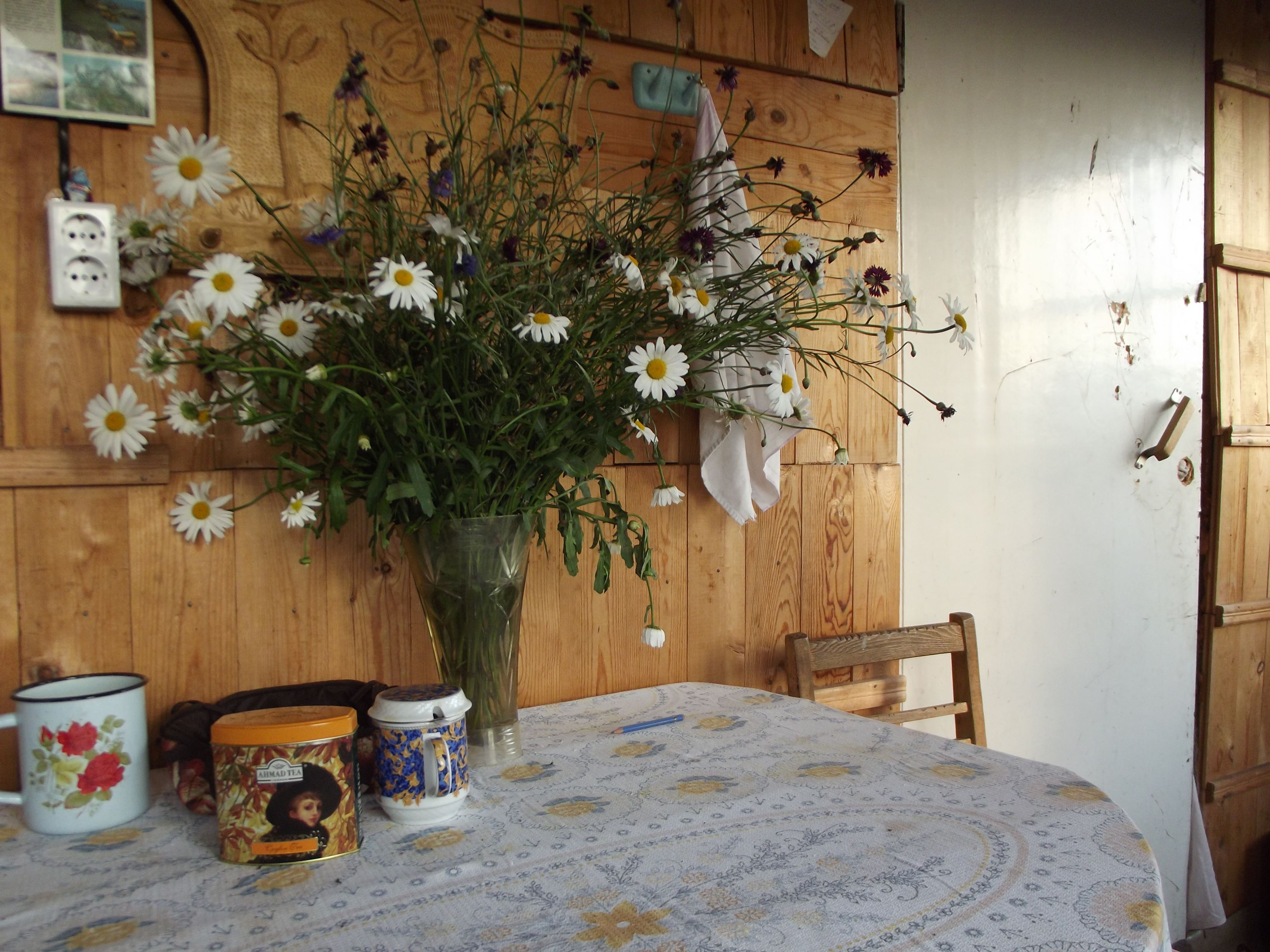 Дачный натюрморт