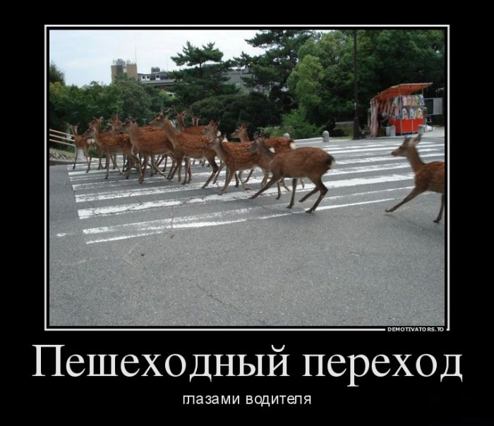 Пешеходный переход