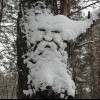 страж сна снежной бабы
