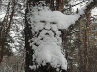страж сна снежной бабы