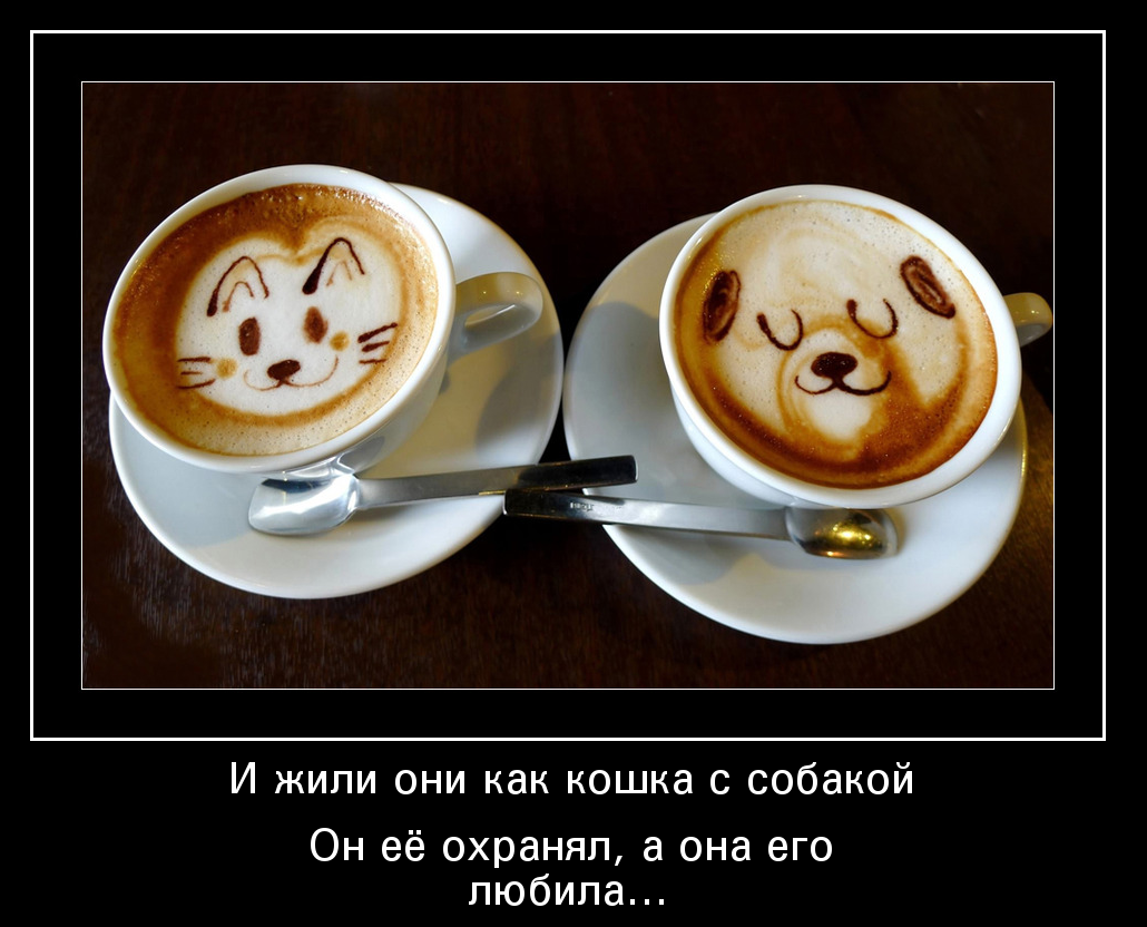 Как кошка с собакой