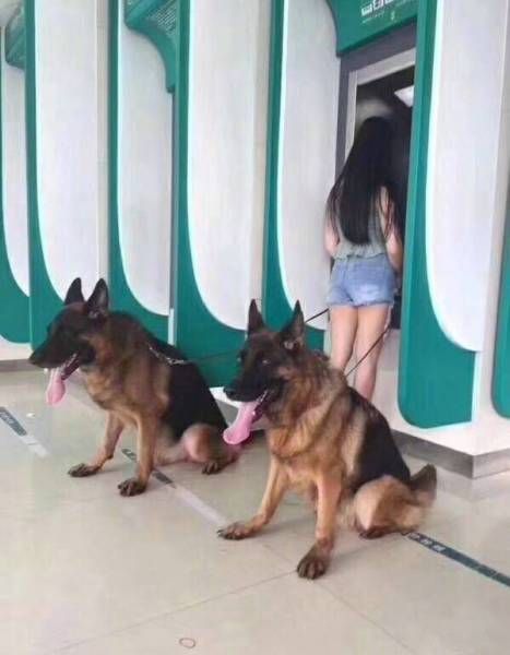 Под контролем