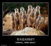 Пятница!! Пятница!!