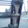 Деревья растут не только на камнях