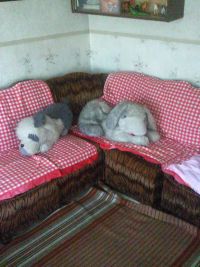 Диванчег агародный)))) Диванчег агародный))))