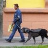 Осталось заставить собак носить штаны и не лаять после 23.00