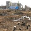 Через два года на этом пустыре будет большой жилищный комплекс