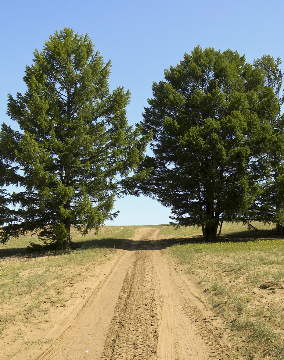 Отличная дорога