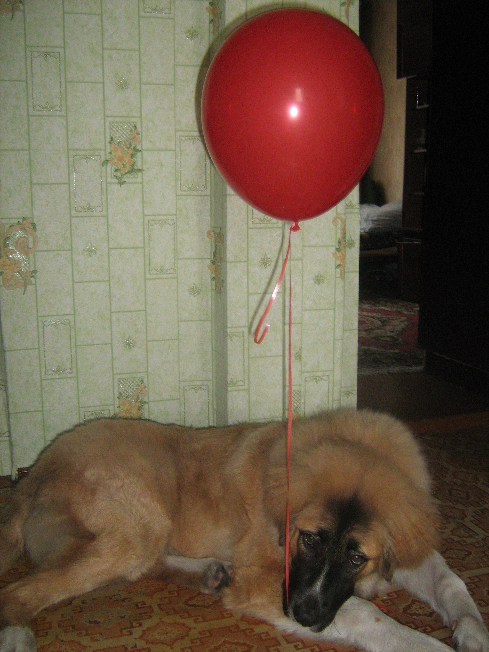 День Рожденья