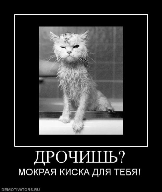 любителям вирта посвещается