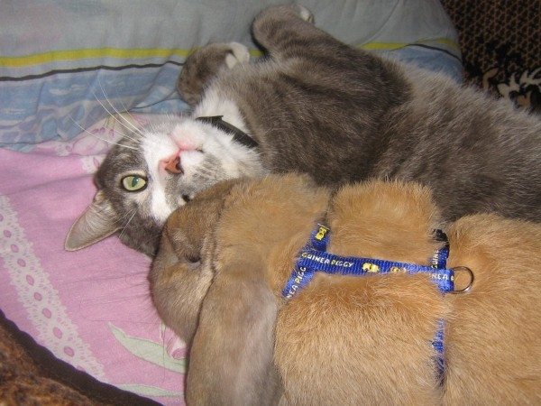 Вот такие мы Друзья!!!!