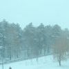 Dsc00084