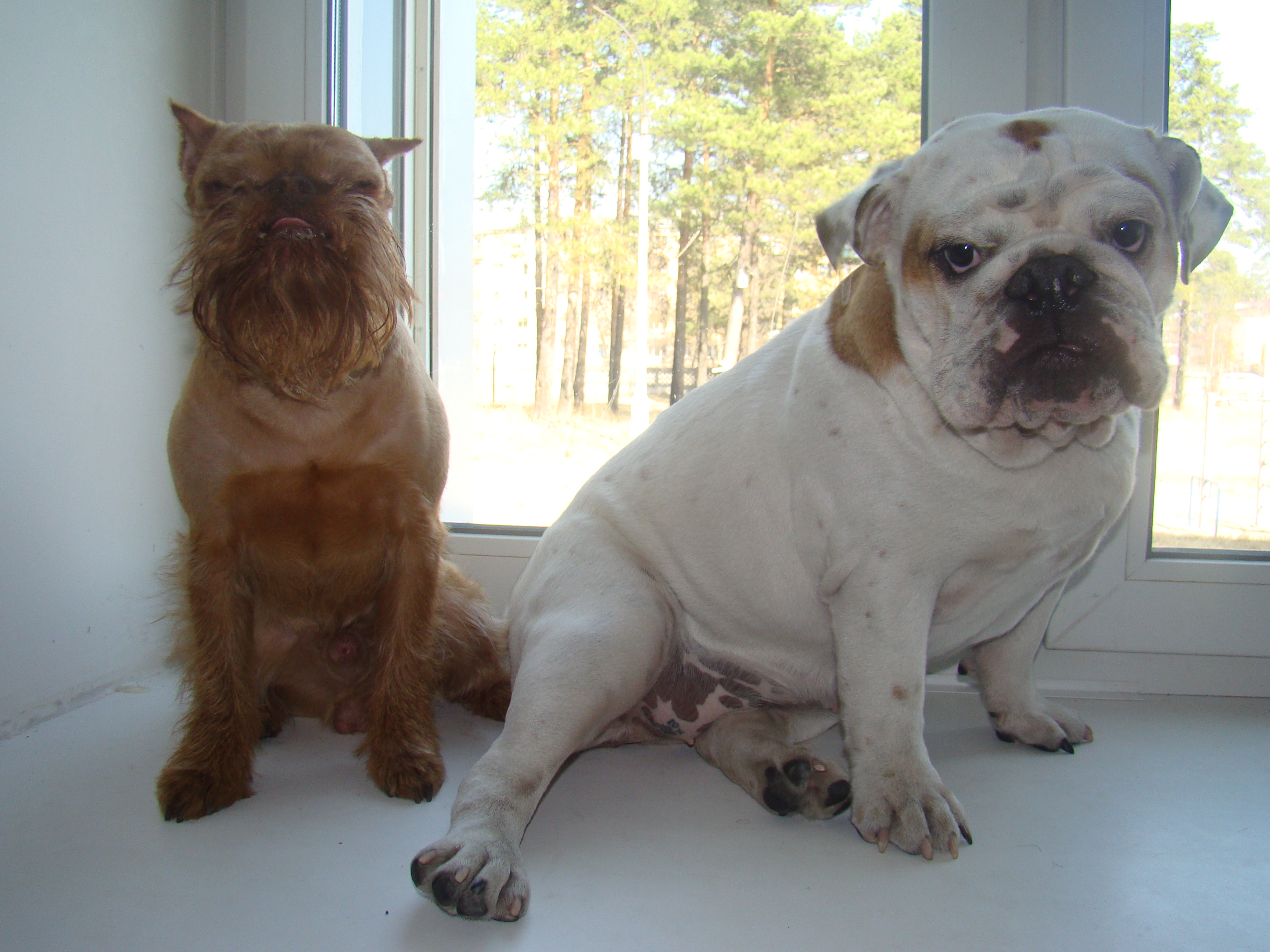 красотуны..