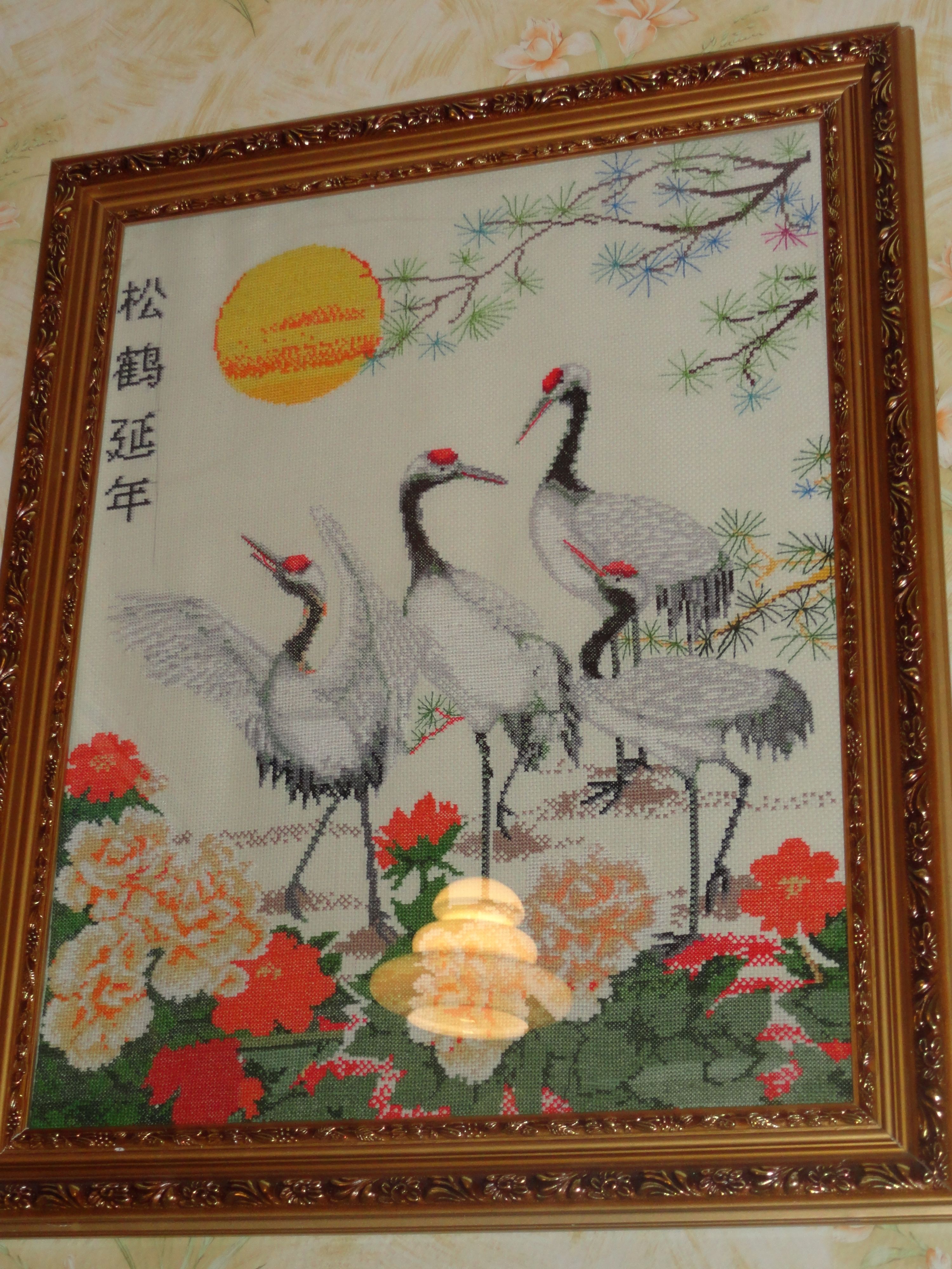 Dsc00463