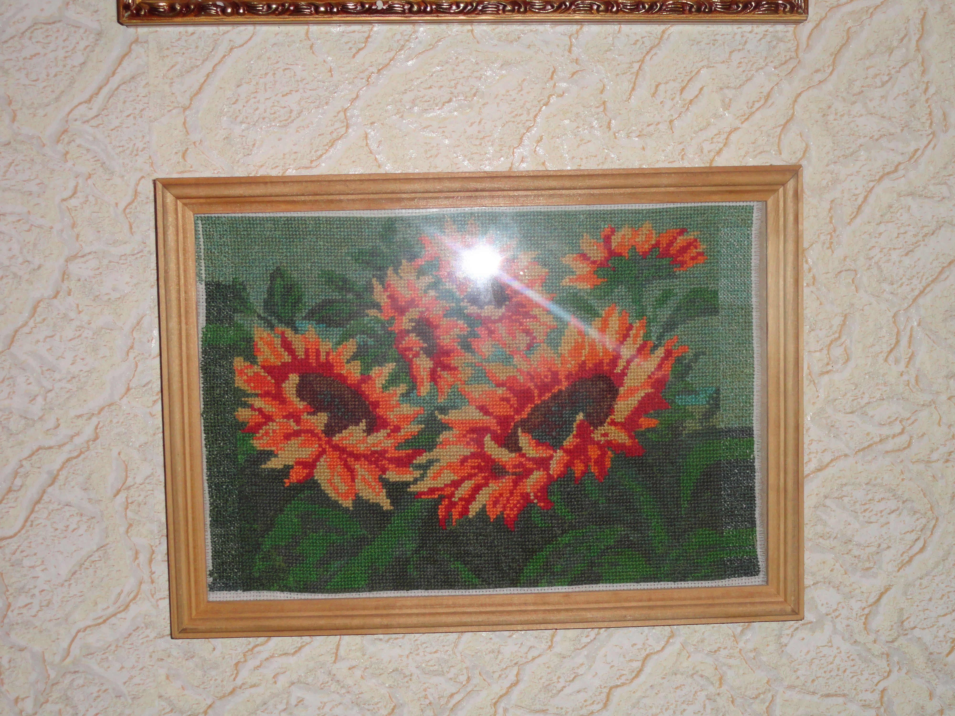 Dsc00467